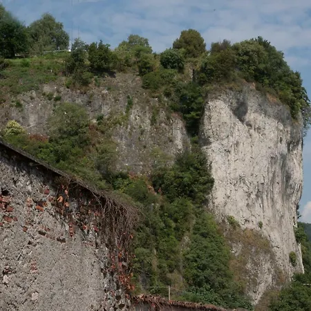 Florida מלון ארונה